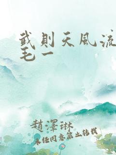 武则天风流艳情毛一