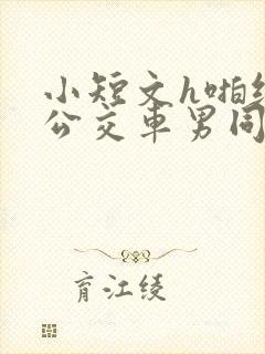 小短文h啪纯肉公交车男同