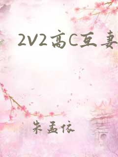 2V2高C互妻