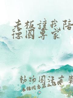 老板让我陪两个德国专家