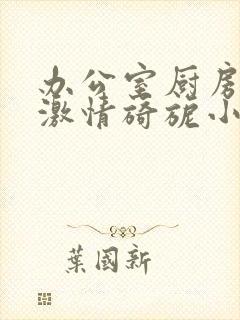 办公室厨房呻吟激情旖旎小说