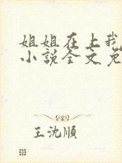 姐姐在上我在下小说全文免费阅读