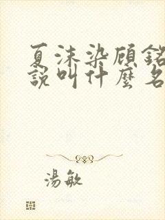 夏沫染顾铭修小说叫什么名字