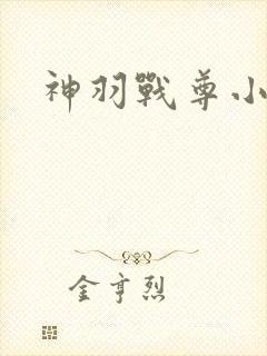 神羽战尊小说