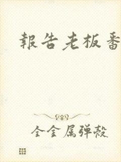 报告老板番外篇