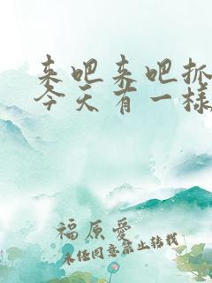 来吧来吧抓紧点今天有一样好东西