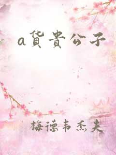a货贵公子