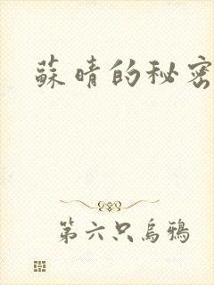 苏晴的秘密小说