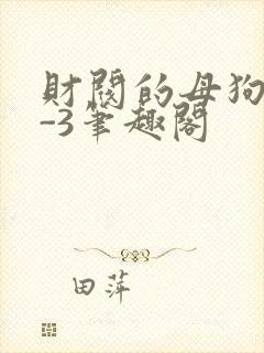 财阀的母狗们1-3笔趣阁