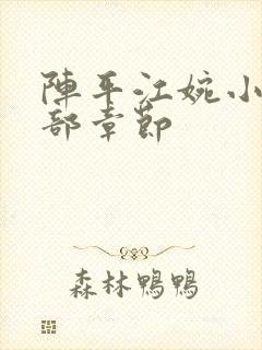 阵平江婉小说全部章节