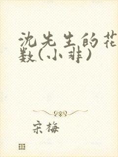 沈先生的花式调数(小非)