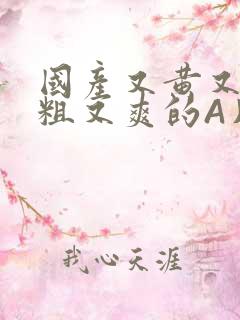 国产又黄又猛又粗又爽的A片小说