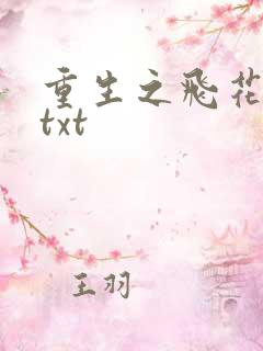 重生之飞花落照txt