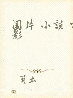 图片 小说 电影