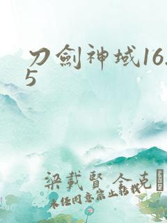刀剑神域16.5