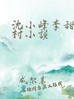 沈小峰李甜的乡村小说