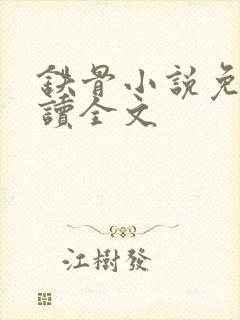 铁骨小说免费阅读全文