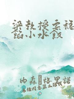 梁教授要稳住肉馅小水饺