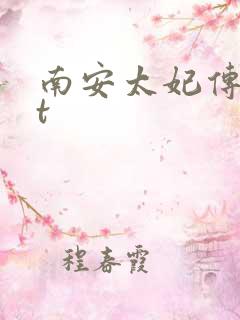 南安太妃传txt