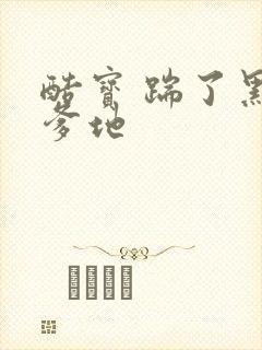 酷宝 踹了黑道爹地