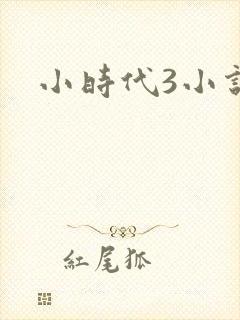 小时代3小说