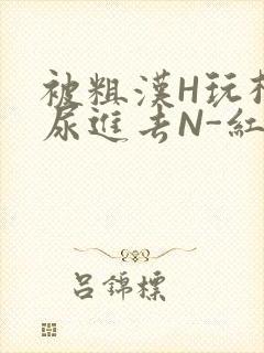 被粗汉H玩松了尿进去N-红-Q