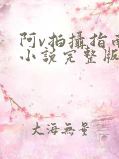 阿v拍摄指南说小说完整版