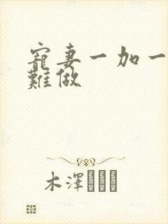 宠妻一加一老婆难做