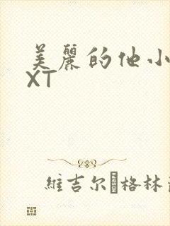 美丽的他小说TXT