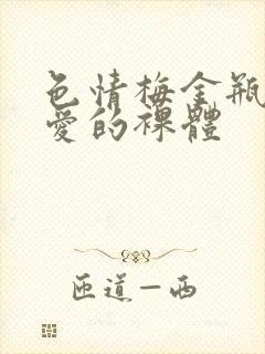 色情梅金瓶2之爱的裸体