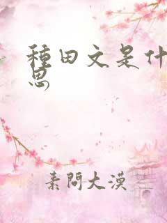 种田文是什么意思