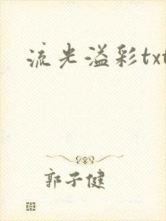 流光溢彩txt