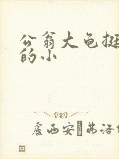 公翁大龟挺进我的小