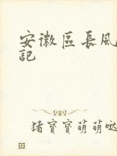 安徽区长风流日记