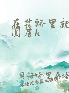 在花轿里就开始圆房h