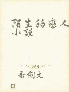 陌生的恋人原著小说