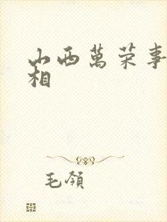 山西万荣事件真相