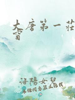 大唐第一庄无弹窗