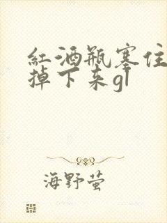 红酒瓶塞住不准掉下来gl