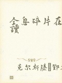 全息碎片在线阅读