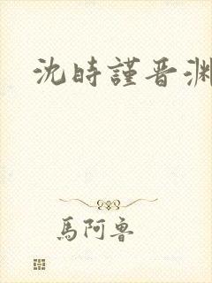 沈时谨晋渊小说