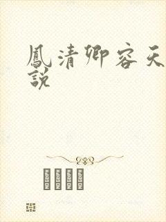 凤清卿容天凌小说