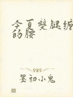 今夏双腿缠陆绎的腰