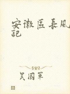 安徽区长风流日记