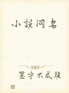 小说网名