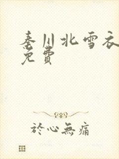秦川北雪衣小说免费