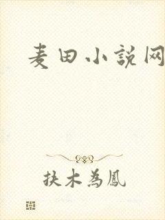 麦田小说网
