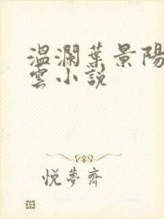 温澜叶景阳温云云小说