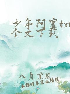 少年阿宾txt全文下载