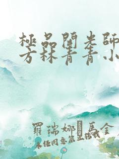 极品开光师李南方林青青小说叫